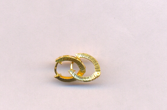 GOLD EARRING