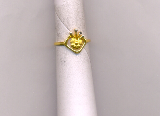 GOLD RING LADIES CASTING EXCLUSIVE