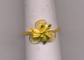 GOLD RING LADIES CASTING EXCLUSIVE