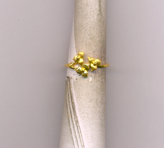 GOLD RING LADIES CASTING EXCLUSIVE