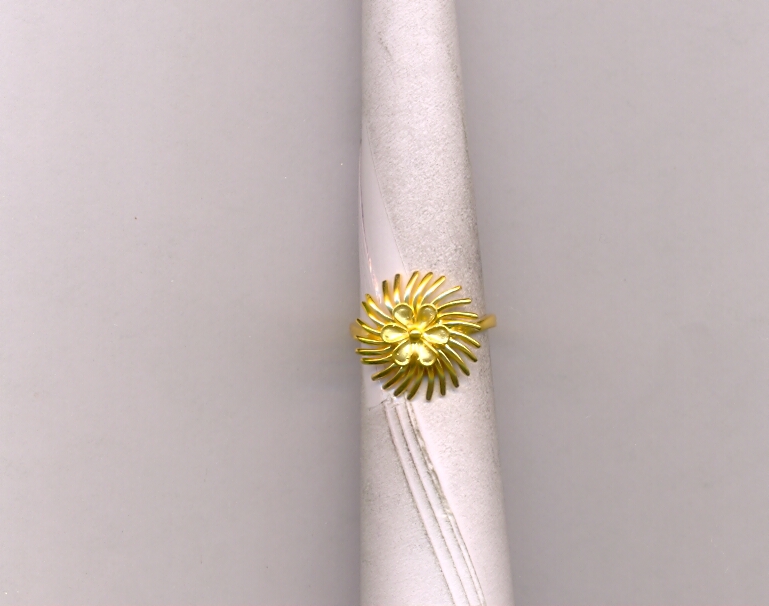 GOLD RING LADIES CASTING EXCLUSIVE