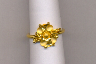 GOLD RING LADIES CASTING EXCLUSIVE