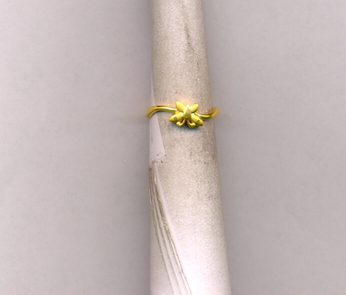 GOLD RING LADIES CASTING EXCLUSIVE