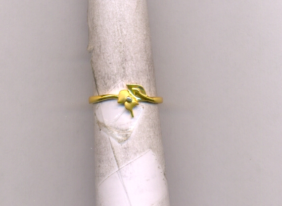GOLD RING LADIES CASTING EXCLUSIVE