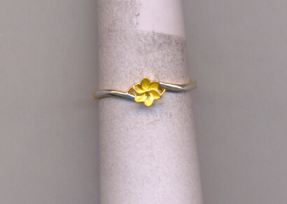 GOLD RING LADIES CASTING EXCLUSIVE