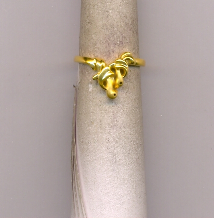 GOLD RING LADIES CASTING EXCLUSIVE