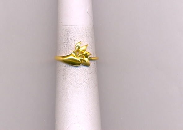 GOLD RING LADIES CASTING EXCLUSIVE