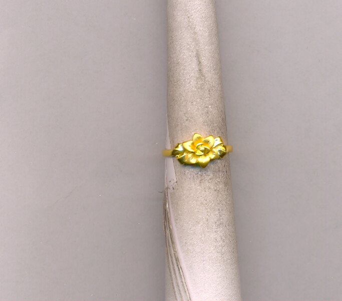 GOLD RING LADIES CASTING EXCLUSIVE