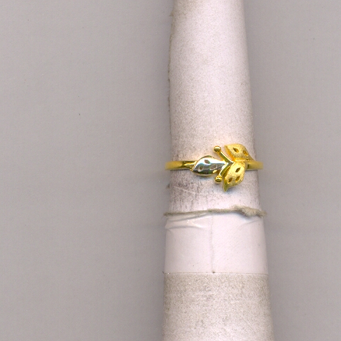 GOLD RING LADIES CASTING EXCLUSIVE