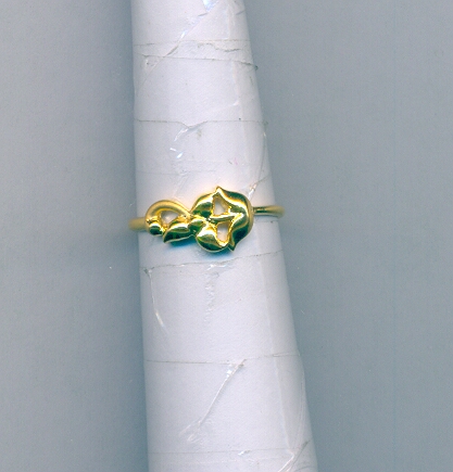 GOLD RING LADIES CASTING FANCY