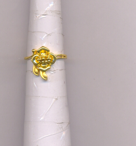 GOLD RING LADIES CASTING FANCY