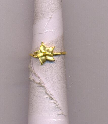 GOLD RING LADIES CASTING GENERAL