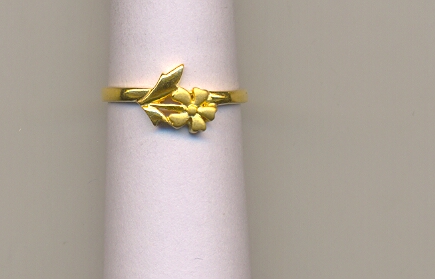 GOLD RING LADIES CASTING GENERAL