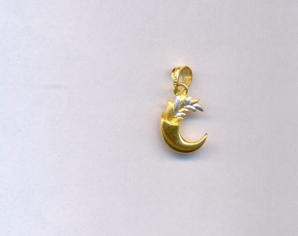 GOLD PENDENT CASTING