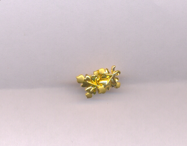 GOLD TOP CASTING FANCY