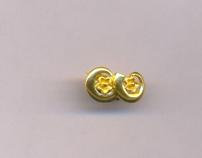 GOLD TOP CASTING FANCY