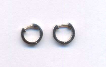 PLATINUM EARRING