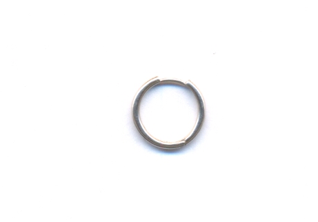 PLATINUM EARRING