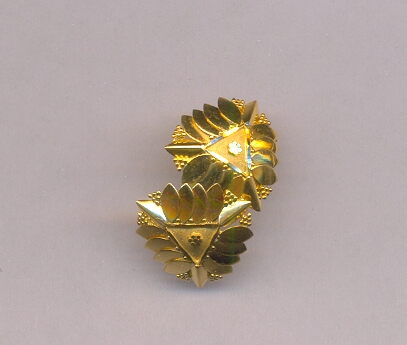 GOLD TOP