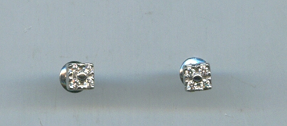 PLATINUM EARTOP