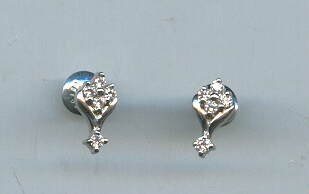 PLATINUM EARTOP