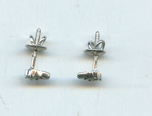 PLATINUM EARTOP