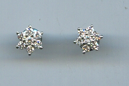 PLATINUM EARTOP