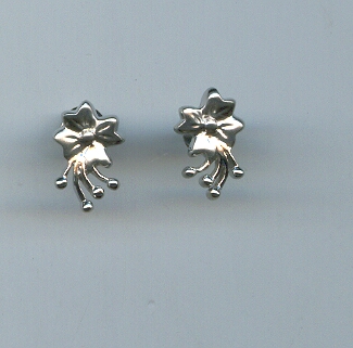 PLATINUM EARTOP