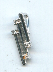 PLATINUM PENDENT
