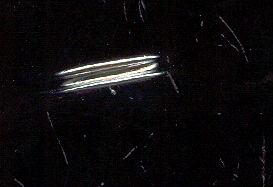 PLATINUM RING