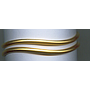 GOLD BANGLE PLAIN EXCLUSIVE