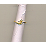 DIAMOND RING GENTS FANCY