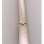 DIAMOND RING LADIES FANCY