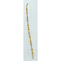 GOLD BACK CHAIN GENERAL