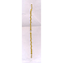 GOLD BACK CHAIN GENERAL
