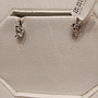 PLATINUM EARTOP DESIGNER